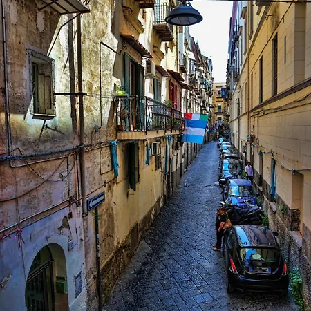 Salvator Konukevi 3*